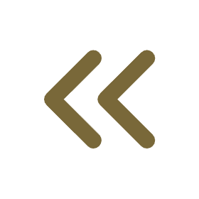 Inactive Back Arrow