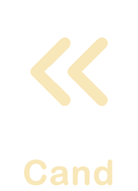 Inactive Back Arrow
